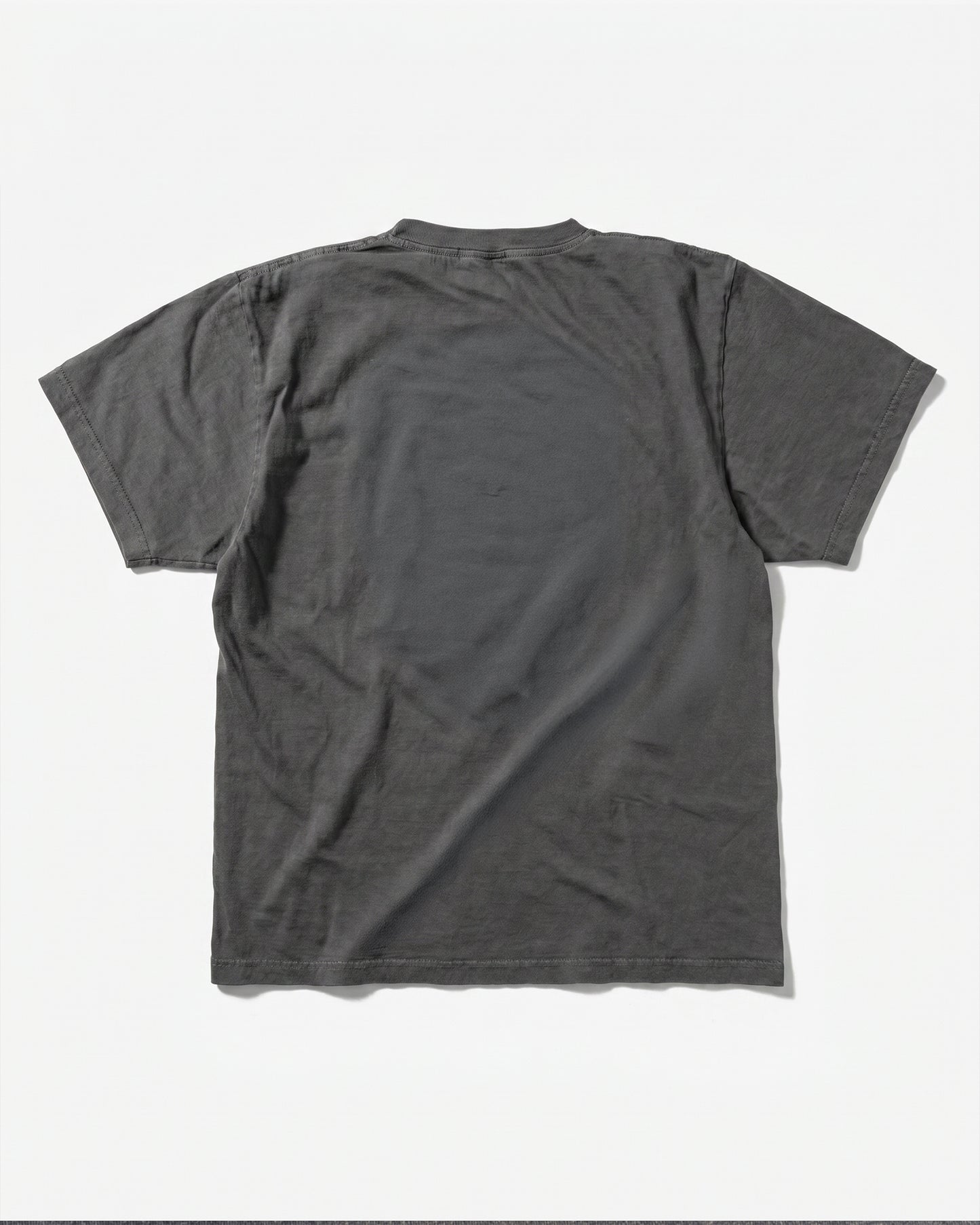 JESUS Pigment-Dye S/S T-shirt [Gray]