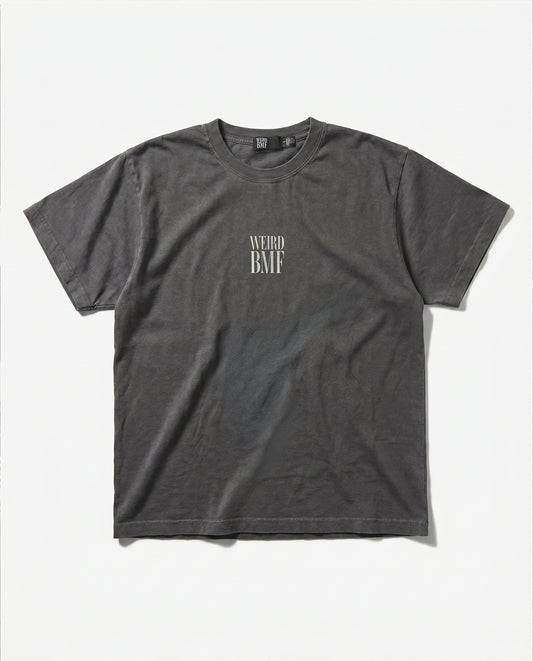 JESUS Pigment-Dye S/S T-shirt — PREMIUM EDITION [Silver]